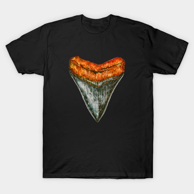 Megalodon tooth T-Shirt by Redmonks